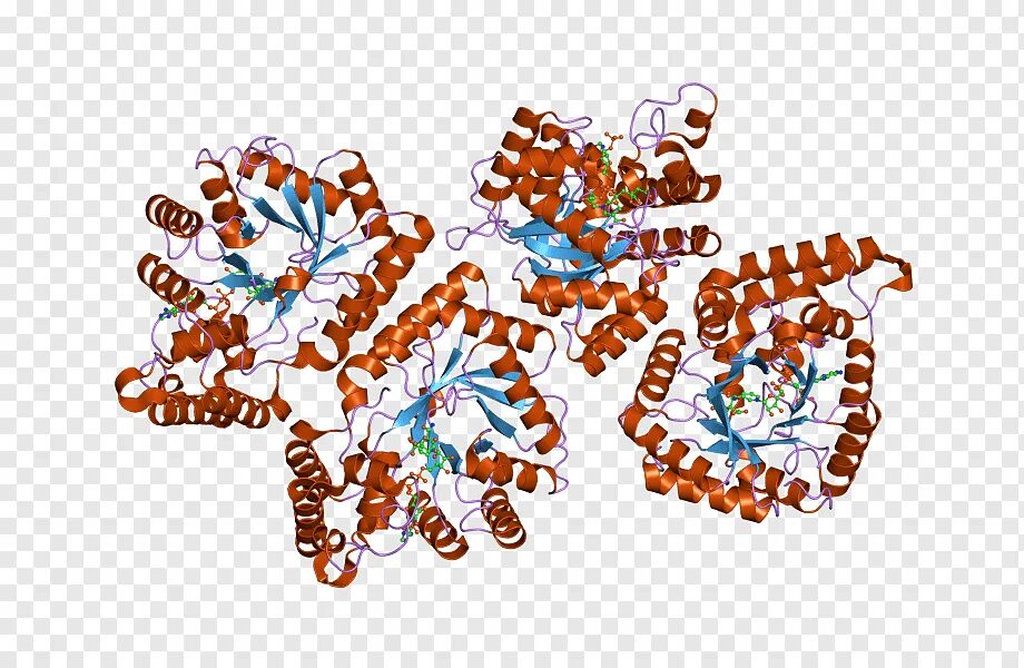 Альдозоредуктаза. Aflatoxin. Афлотоксин стильная картинка. Геном PNG.