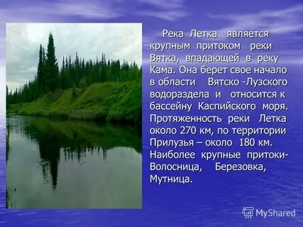 Она берет свое начало