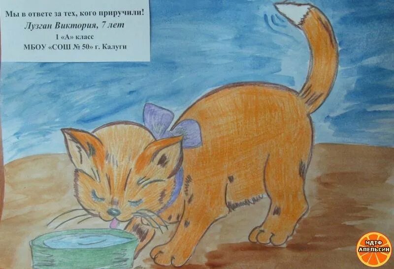 Рисунок тех кого мы приручили. Мы в ответе за тех кого мы приручили рисунок. Рисунок на тему мы за тех кого приручили. Плакат на тему мы в ответе за тех кого приручили. Мы в ответе кого приручили рисунки.