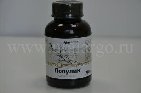 Популин раствор для приема внутрь