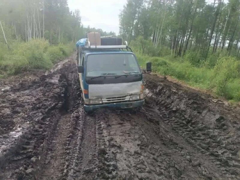 амурлайф новости