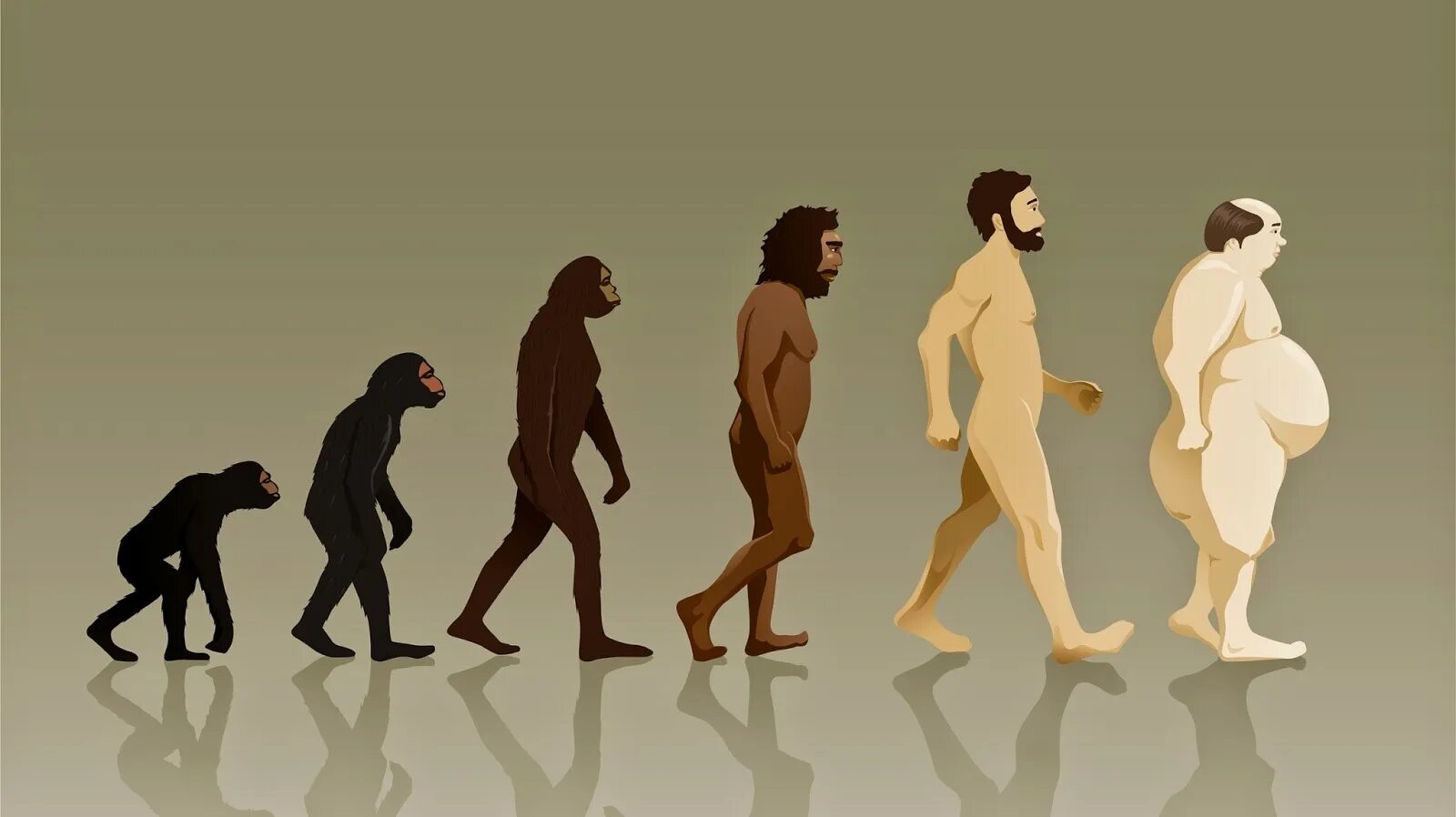 Жизни путем эволюции. Эволюция homo sapiens. Эволюция Дарвин хомо. Эволюция человека до хомо сапиенс. Хомо сапиенс Эволюция женщины.