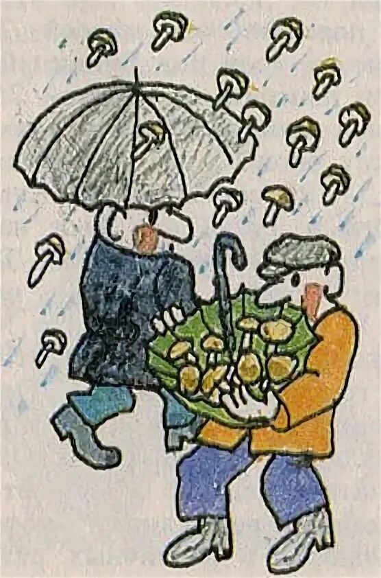 Фразеологизм как грибы после дождя. Грибы после дождя маленькие белые. Сказочные грибы рисунки. Грибной дождь. Лес после дождя.