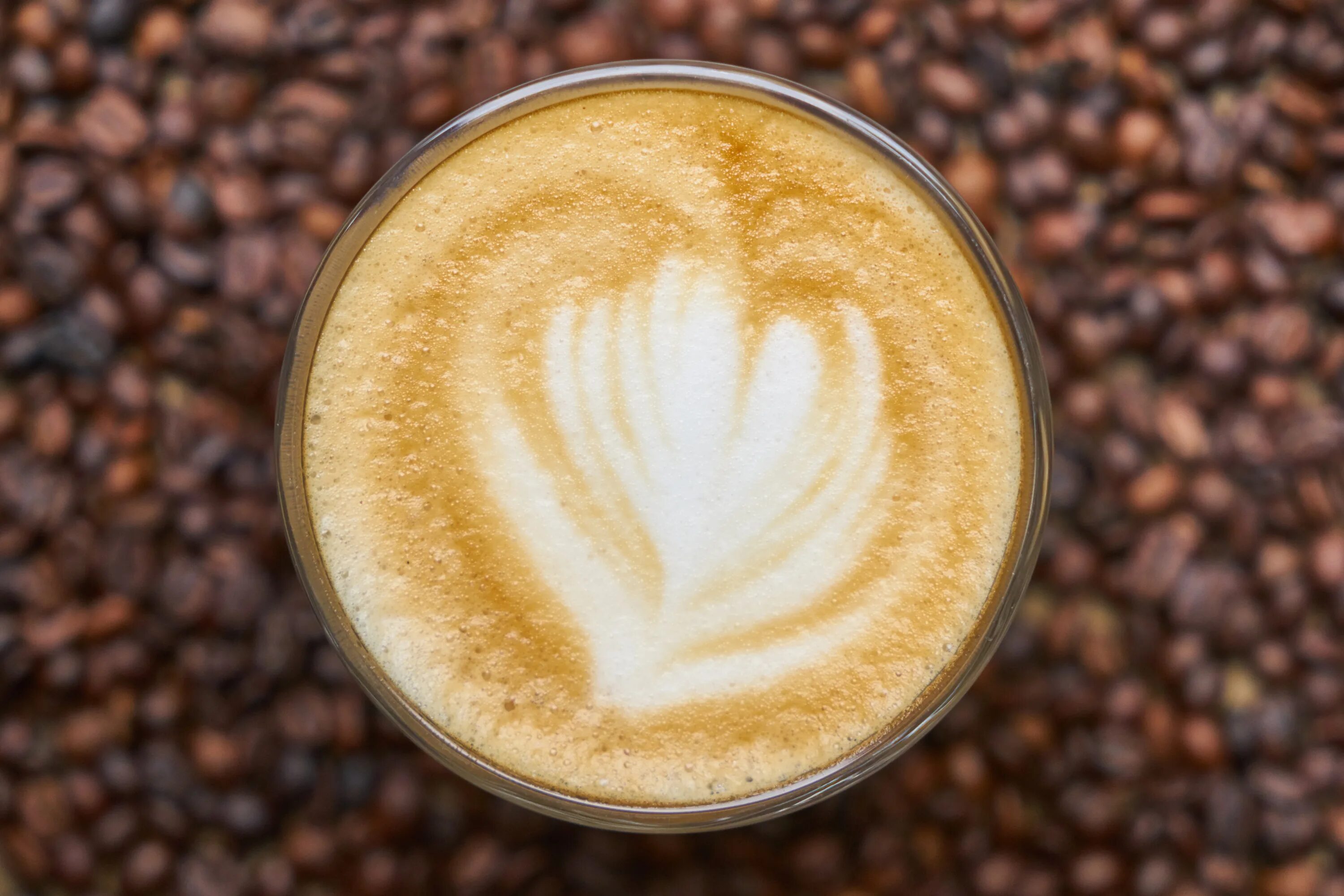 Чашка капучино. Капучино кофеин. Капучино кофеин. Чашка капучино фото. Чашка кофе с пенкой.