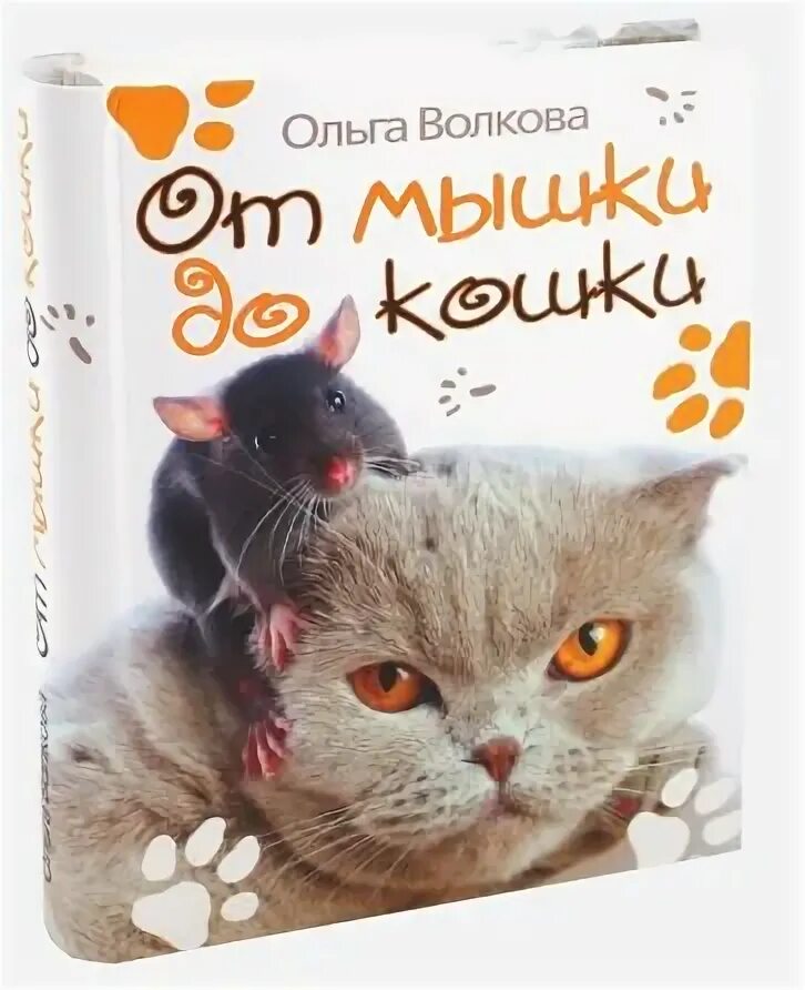 Мышки до кошки 20 шагов. Книга от мышки до кошки.