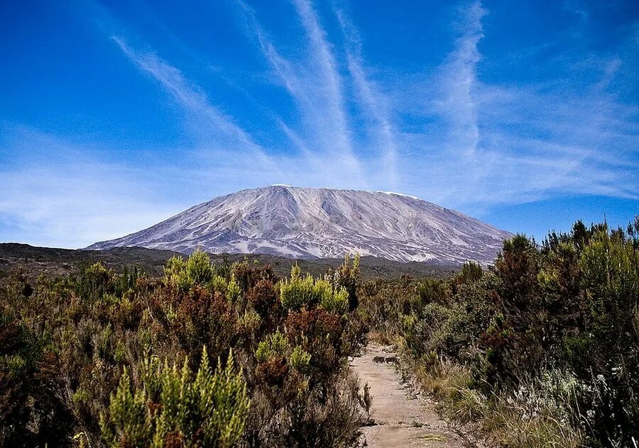 Африка самый высокий. Вулкан Килиманджаро. Вершина Африки вулкан гора Килиманджаро. Вулканический массив на Килиманджаро. Килиманджаро горный массив.