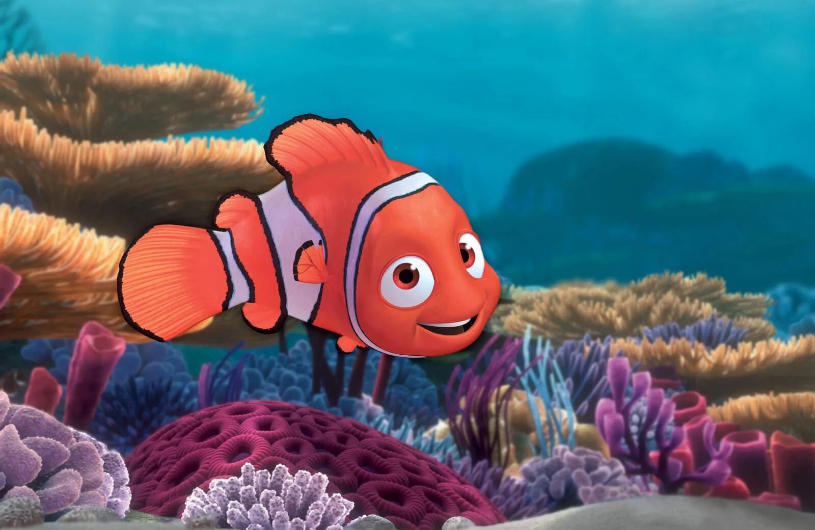 В поисках Немо (finding Nemo), 2003. Рыба клоун в поисках Немо. Немо 3. В пои немо