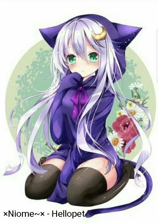 Neko ui