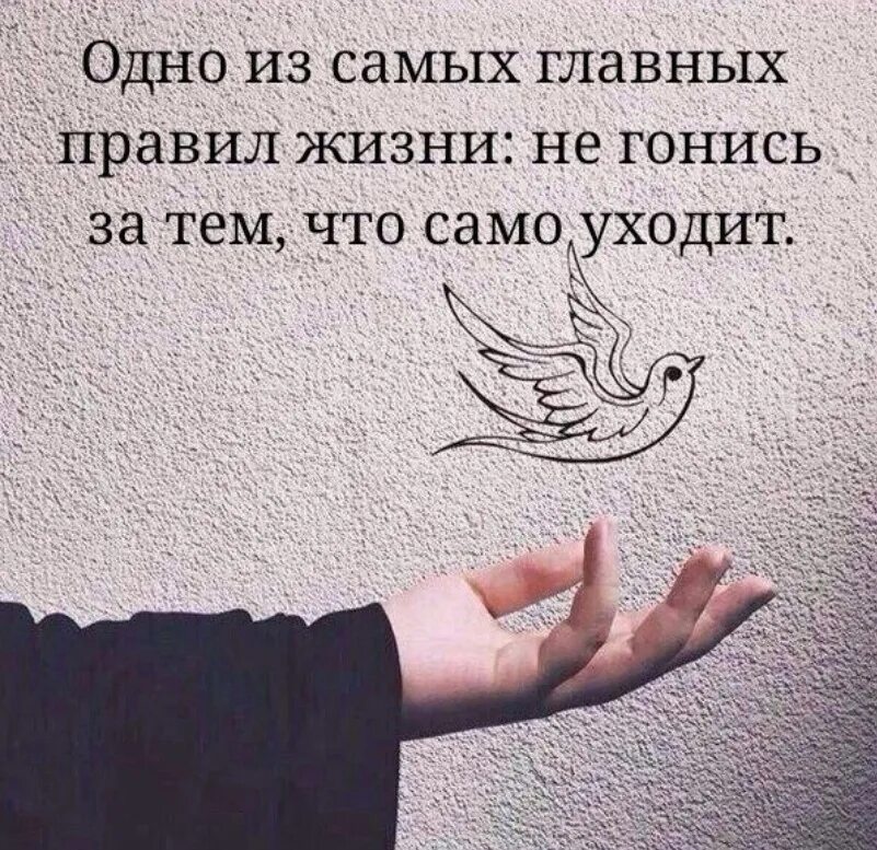 Пусть судьба решит. Пусть судьба подберет тебя. душевные переживания выматывают. всю душу ты мне вымотала. душевные переживания выматывают человека больше.