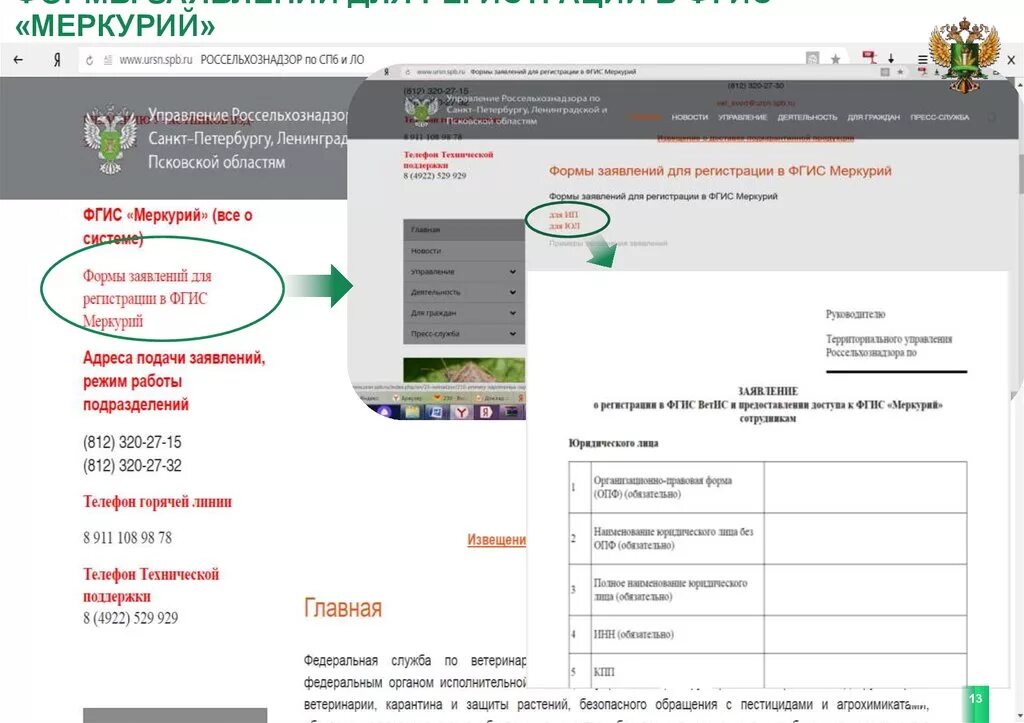 Меркурий заявки. Заявление в Россельхознадзор. Образец заявления на Меркурий. Заявка на Меркурий Россельхознадзор. Заявление в Меркурий для ИП образец заполнения.