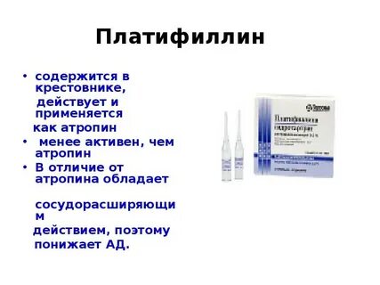 Атропин на латинском