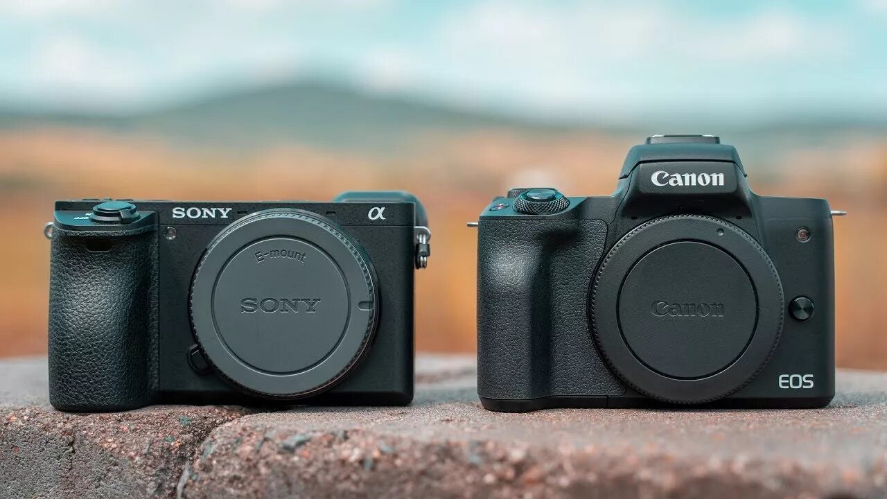 Sony a6500. Sony a 7 vs Sony a6500. Canon m50. Sony a7s m3 vs Sony a6500. Sony canon сравнение