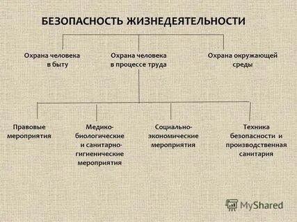 Труда бжд