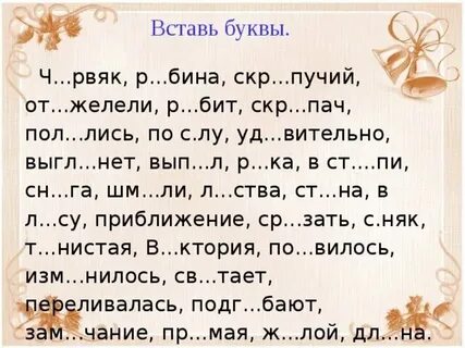 Пол лись