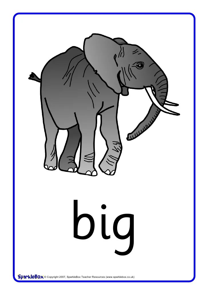 Small big com. Карточки big small. Карточки big little. Карточки opposites. Big small Flashcards for Kids.