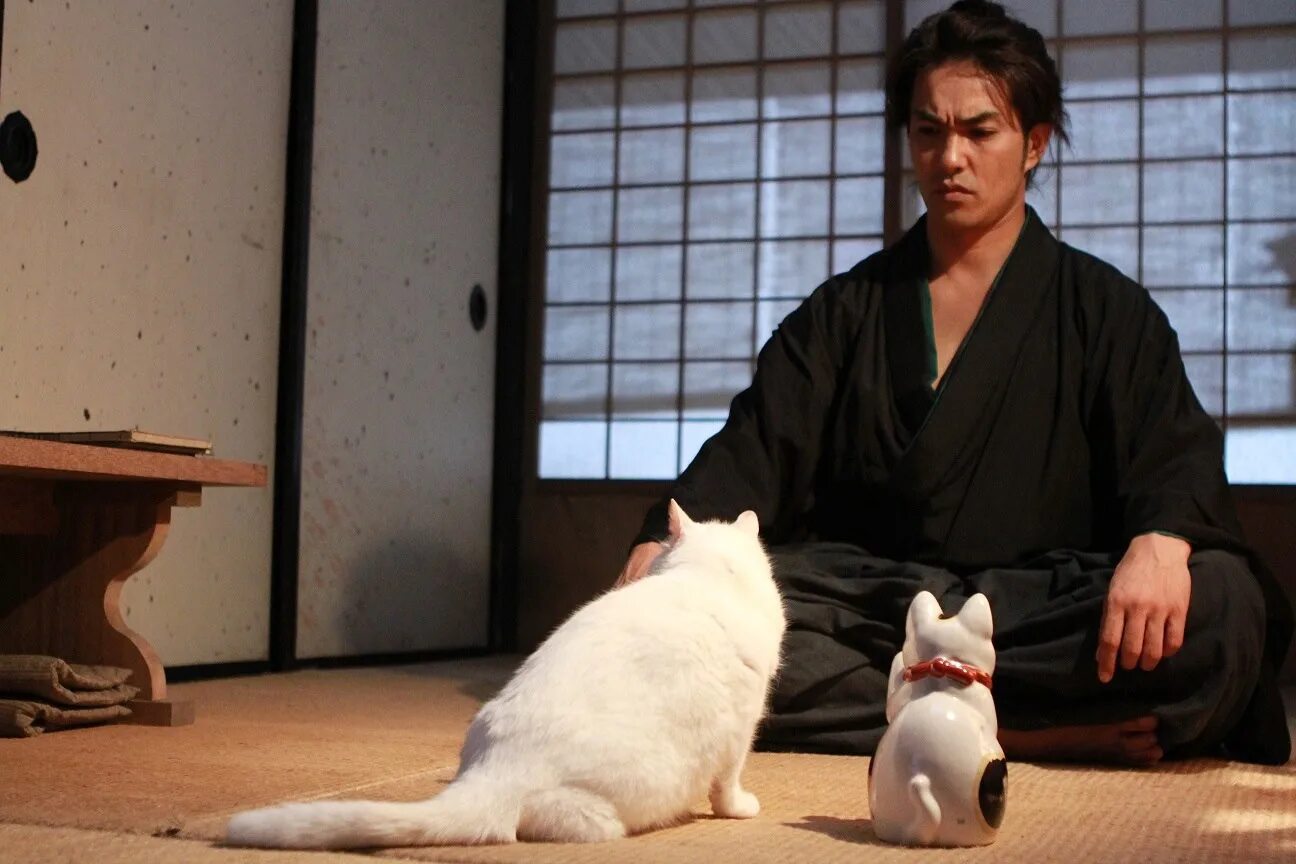 Кадзуки Китамура кошка и Самурай. Китамура Казуки Самурай и кошка. Самурай и кошка 2014. Андзин с японского