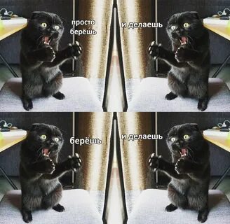 Ты много берешь