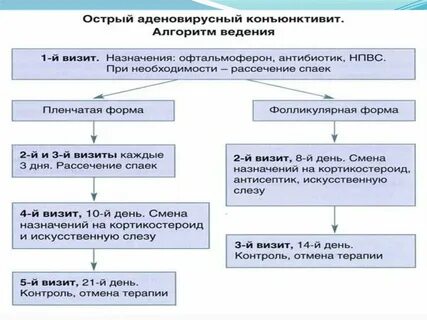 Аденовирусная инфекция этиология