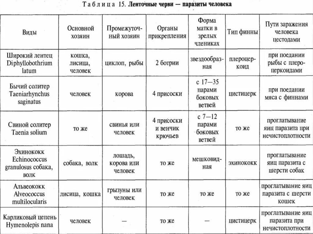 Место животных в системе живого мира - презентация онлайн