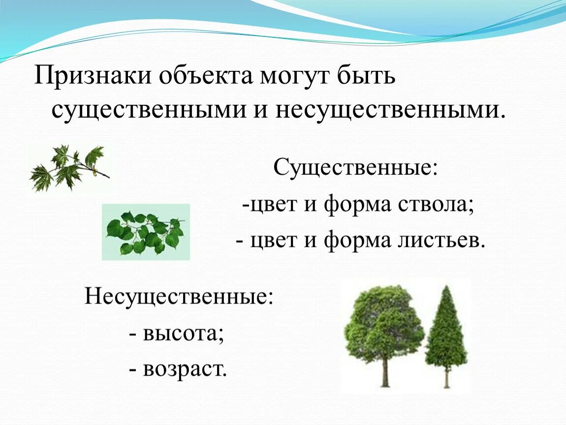 Признаки объекта. Признаки объекта Информатика. Существенные и несущественные свойства объекта. Объект признаки объекта.