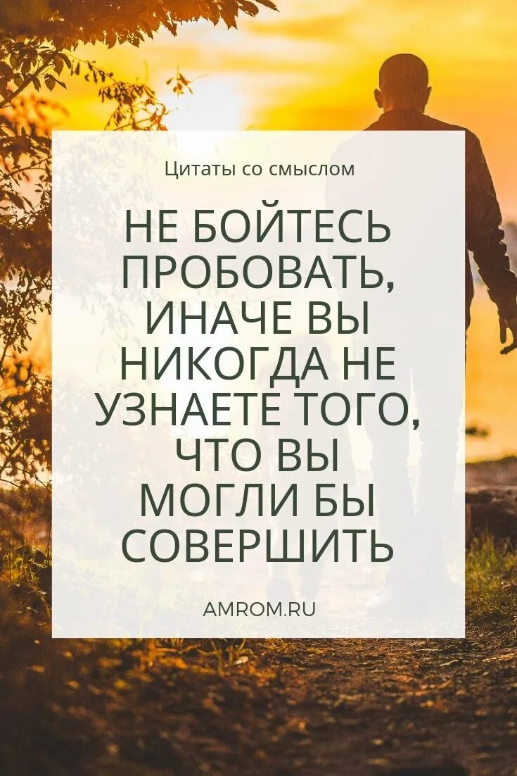 Цитата дня короткая