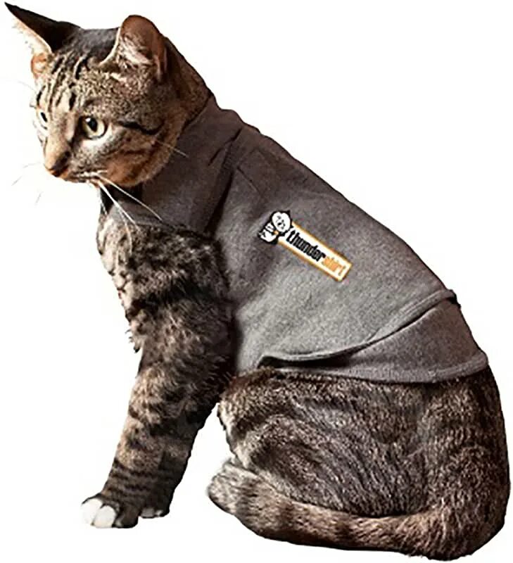 Спец коты