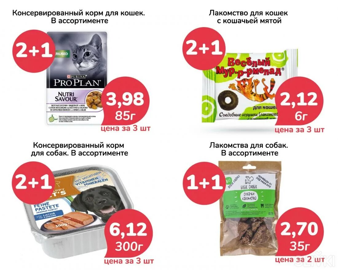 Брестская 226 в барановичах зообазар. Зообазар могилев каталог с ценами. Зообазар могилев каталог с ценами. Зообазар могилев каталог с ценами. Зообазар.