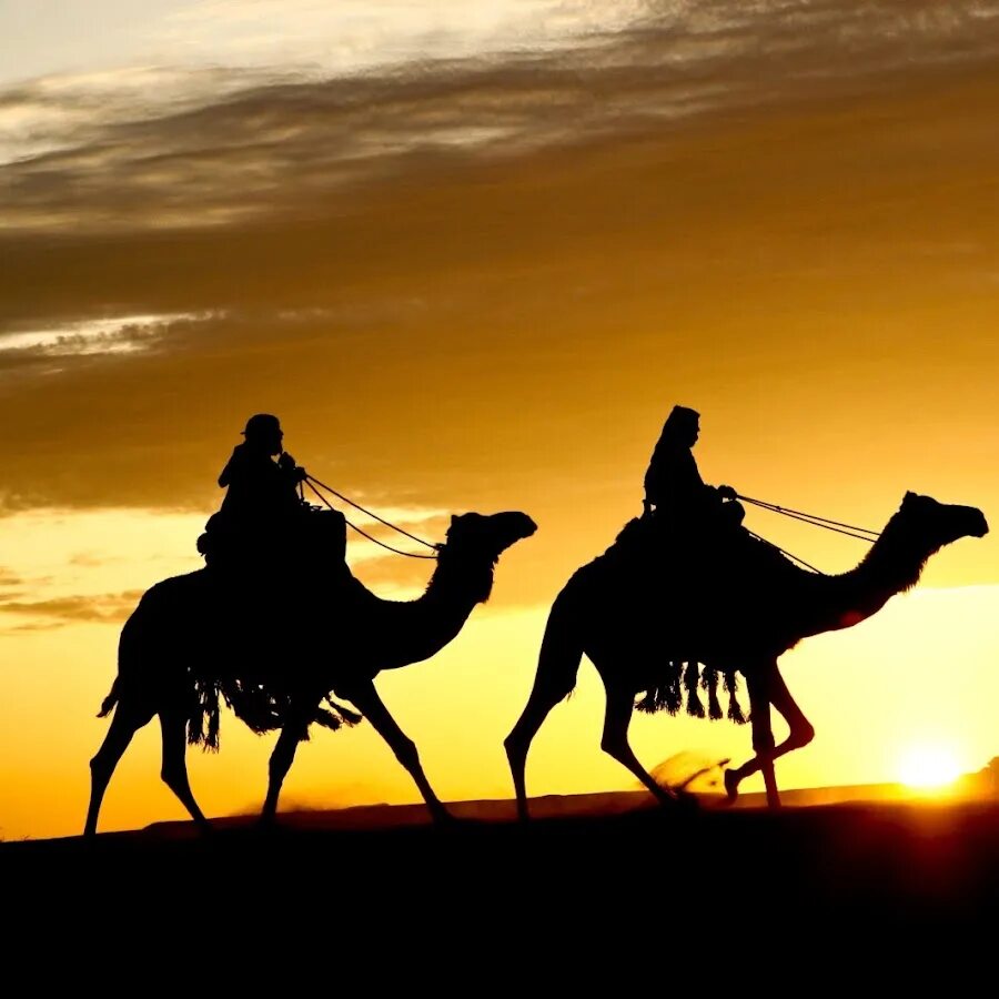 Цитаты сподвижников. Примеры сподвижников. Сподвижник ислам. Умар ибн аль хаттаб сподвижник. Сподвижники пророка.