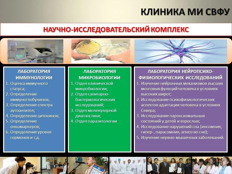 Комплекс исследовательских работ. Комплекс исследовательских работ