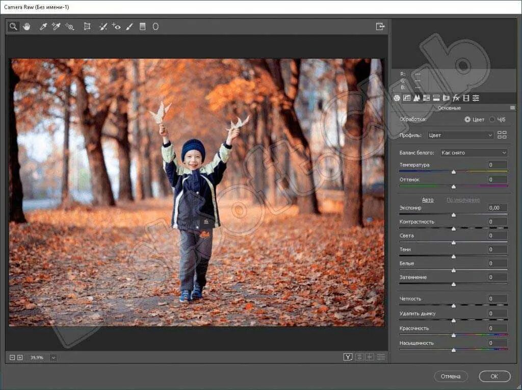 Raw plugin. Camera raw фотошоп 2025. камера рав для фотошопа. camera raw в фотошопе. фотошоп сс 2018.