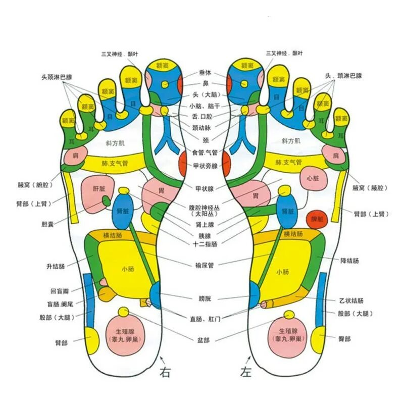 Карта в стопе метро. Рефлекторные зоны стоп схема. Рефлекторные зоны стопы. Рефлекторный массаж стоп. Массаж рефлекторных зон стопы.
