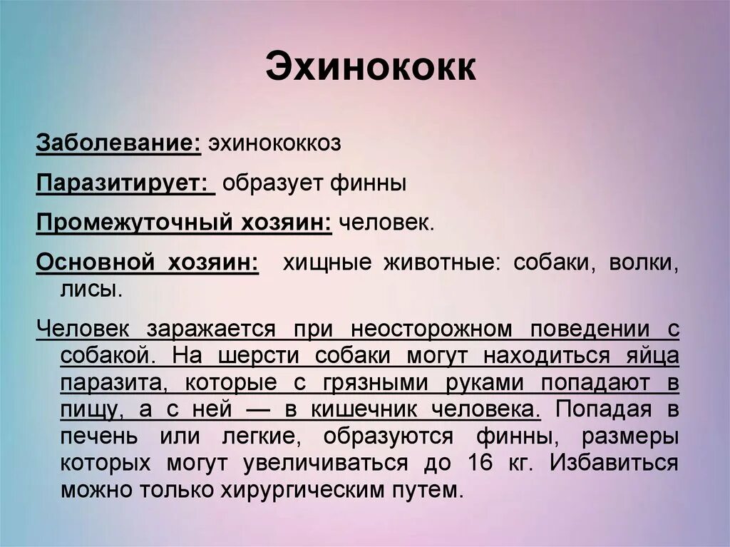 Эхинококки симптомы у людей лечение. Профилактика эхинококкоза. Эхинококкоз лекарства. Эхинококк профилактика. Эхинококк заболевание.