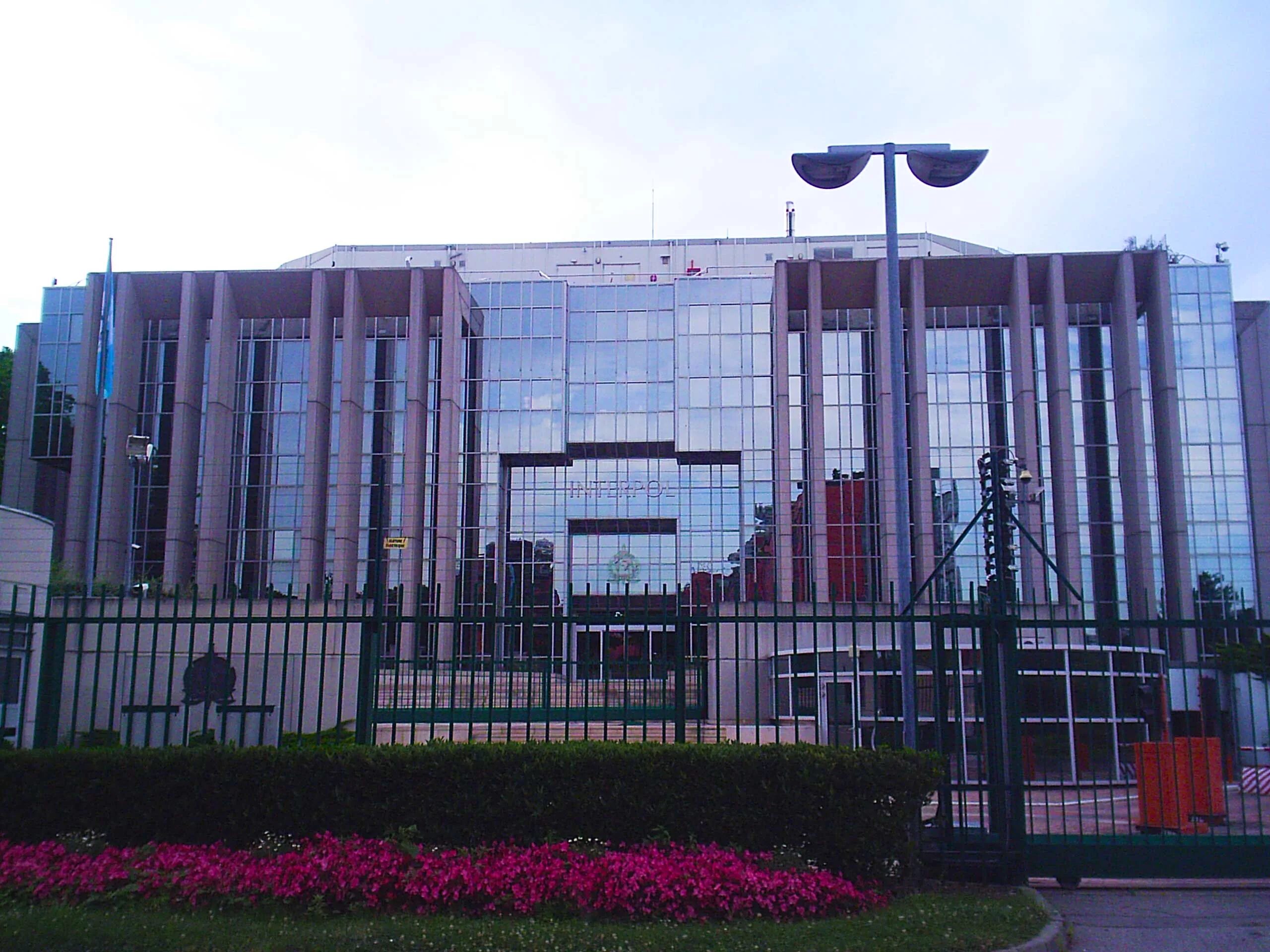 интерпол москва