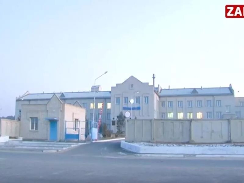 Цасучей забайкальский край. Больница нижний цасучей. Буйлэсан. Борзя пожар. Село нижний цасучей забайкальский край.