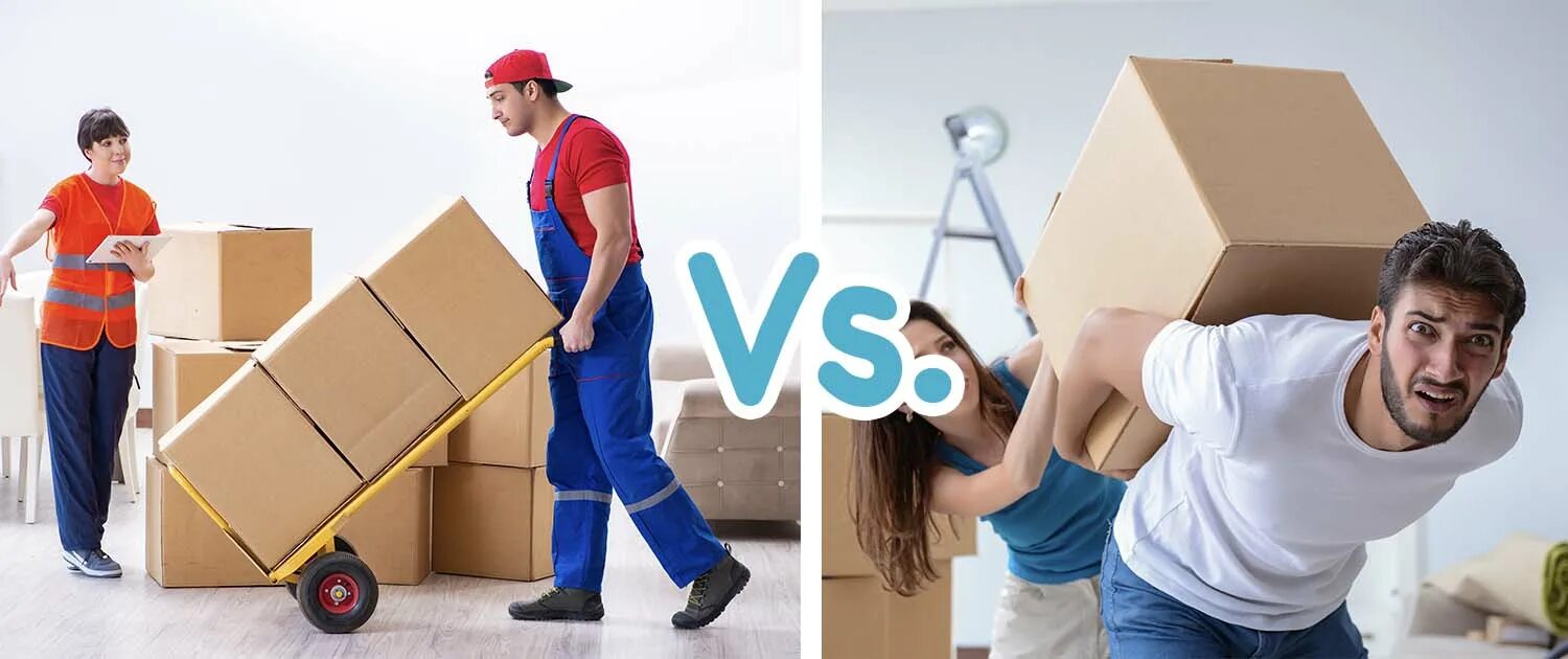 Мувер отзывы врачей. Movers вшаакутусуы. Movers картинки разница. Movers оценивание. Mini Mover.