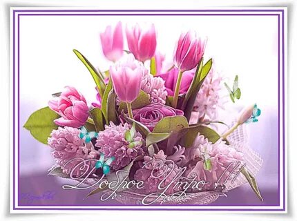 Picture background