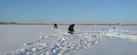 Большое гусиное курганская область
