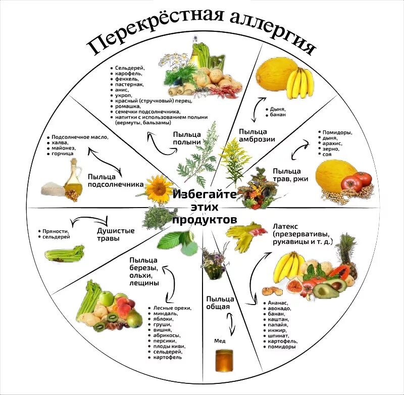 Перекрестная пищевая аллергия на пыльцу деревьев. Перекрестная пищевая аллергия на сорные травы. Аллергия на березу перекрестные аллергены. Перекрестная аллергия на пыльцу деревьев. Аллергия на пыльцу березы перекрестная аллергия.