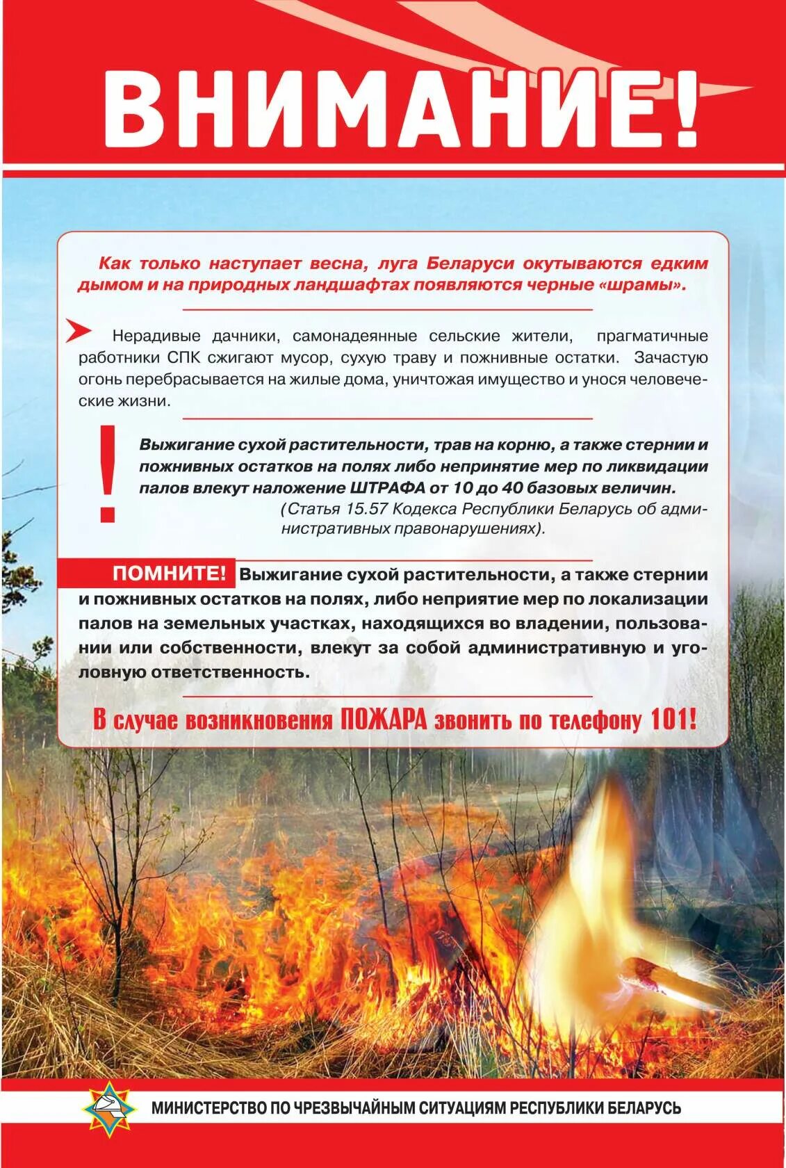 Правила безопасности рб. Пал сухой травы памятка по пожарной безопасности для детей. Памятка по палу травы МЧС. Памятка по выжиганию сухой растительности. Весенний пал травы памятка.