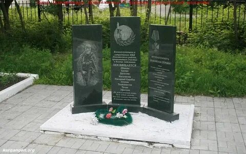 Половинное курганская область половинский