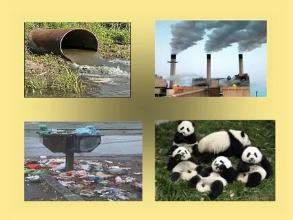 Environmental problems nowadays