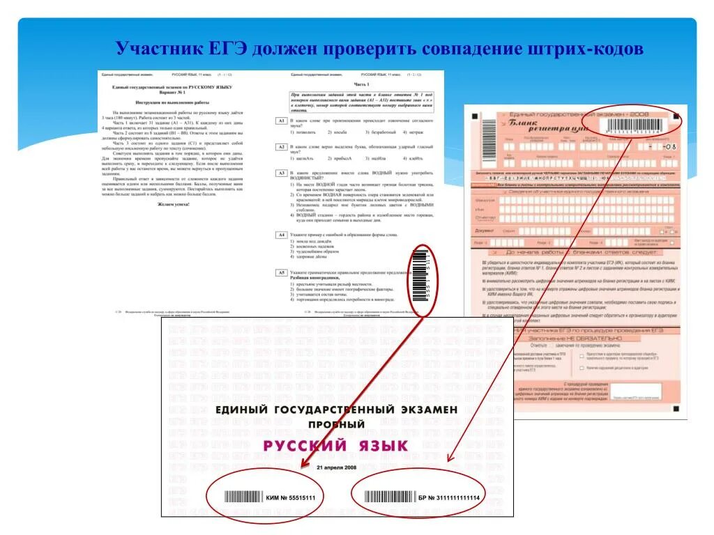 Код егэ 2023. Код участника ЕГЭ. Код ОГЭ для организации. Код участника ОГЭ. Код регистрации участника ЕГЭ.