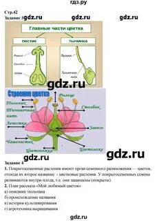 Биологию 42