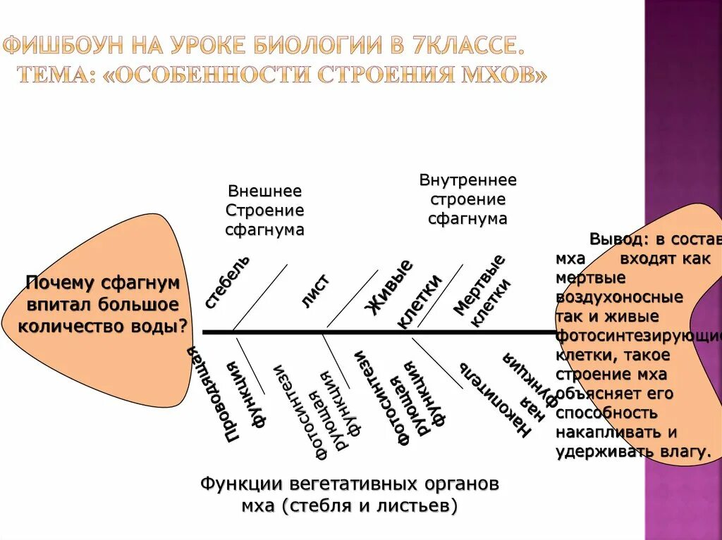 Урок исследование история. Схема Фишбоун рыбий скелет пример. Фишбоун размножение растений. Фишбоун на уроках биологии. Приемы ы на уроках биологии.