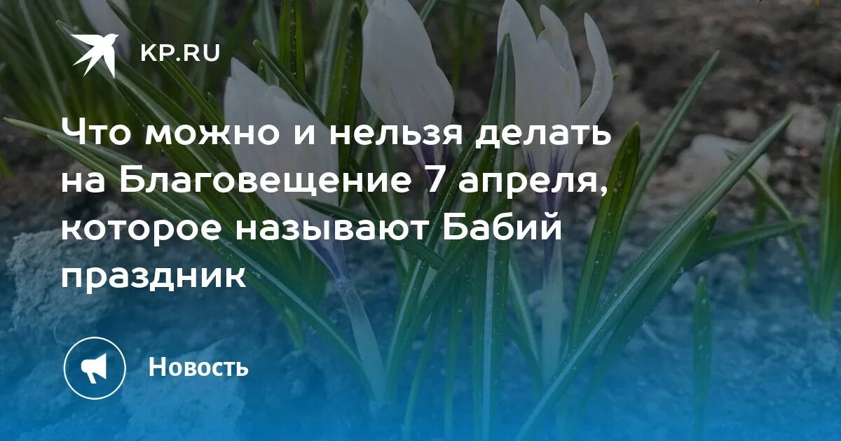 Что нельзя делать в Благовещенье. Что нельзя делать на Благовещение 7 апреля. Благовещенье Бабий праздник. Благовещение, Бабий праздник открытки.