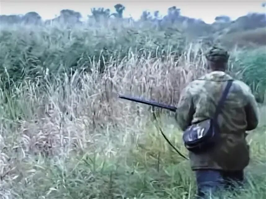 Открытие охоты в ивановской области 2024