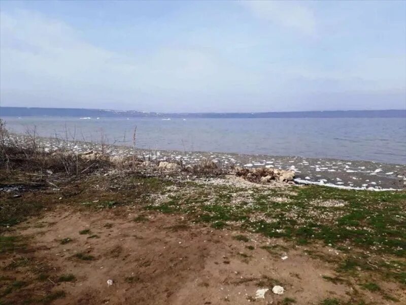 давыдовка приволжский. давыдовка приволжский. давыдовка. давыдовка. приволжье самарская область с.