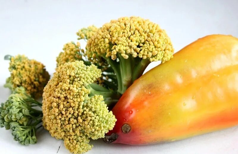 гнилая брокколи. пожелтение на брокколи. брокколи желтеет. брокколи пожелтела. капуста брокколи зацвела.