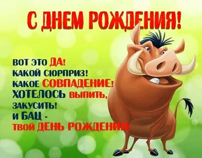 Прикольные поздравления на юбилей видео