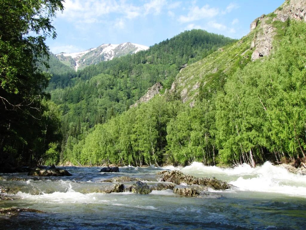 Чарыш Алтайский край природа. Горный Чарыш, село Чарышское. Горный Алтай Чарышский район. Чарыш горы Алтайский край. Алтайский край объявления частные бесплатные